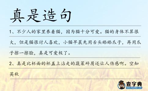 真是造句