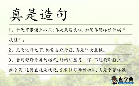 真是造句
