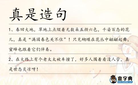 真是造句
