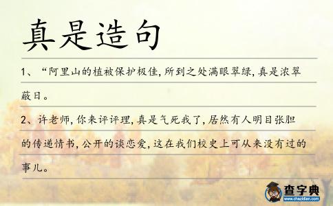 真是造句
