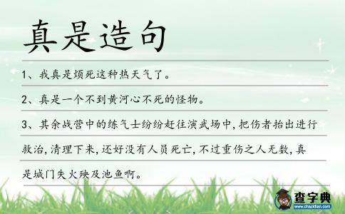 真是造句