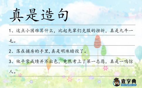 真是造句