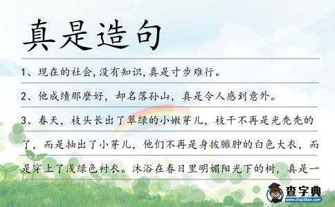 真是造句