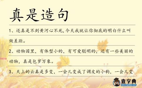 真是造句