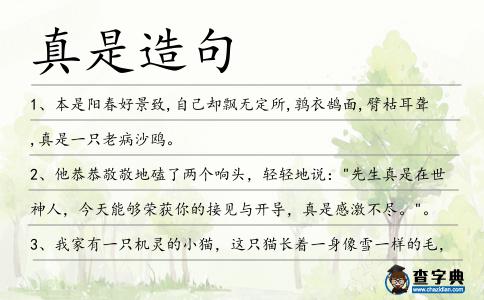 真是造句