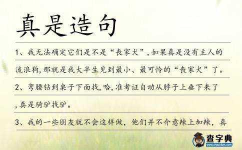 真是造句