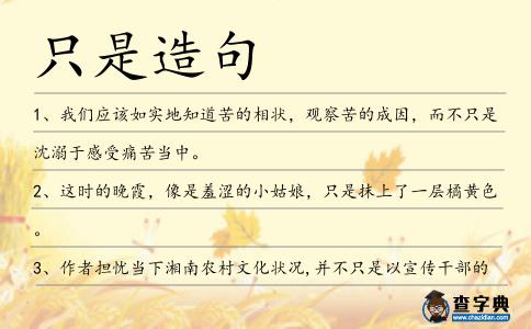 只是造句
