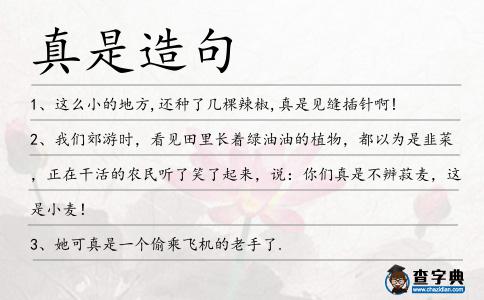 真是造句