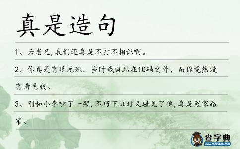 真是造句