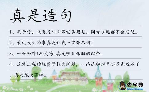 真是造句