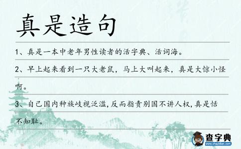 真是造句