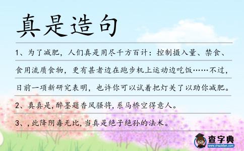 真是造句
