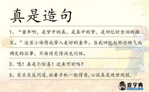 真是造句