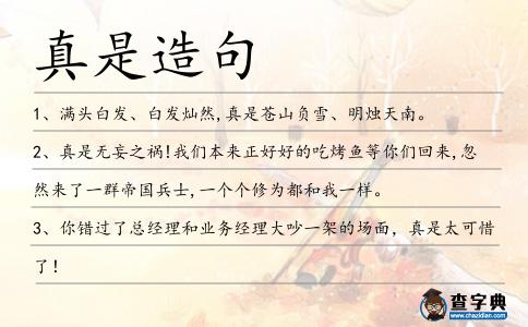 真是造句