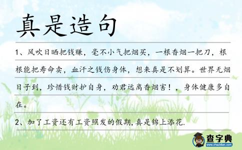 真是造句