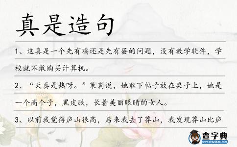 真是造句