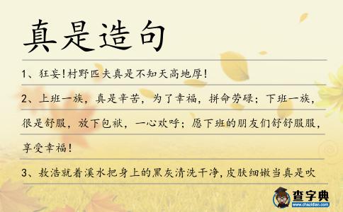 真是造句