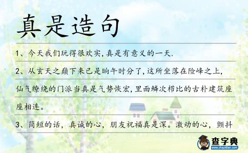 真是造句