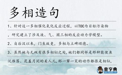 多相造句