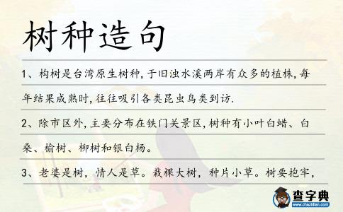 樹種造句