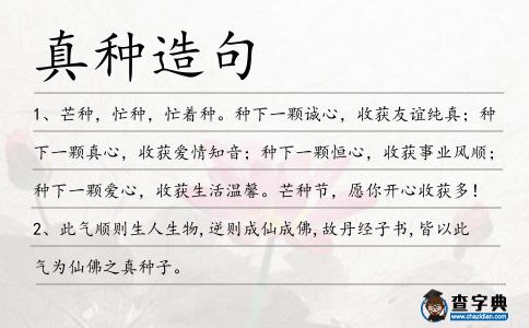 真種造句