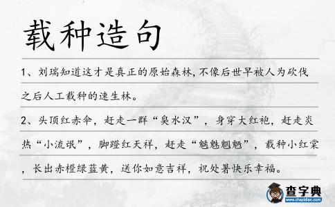 載種造句