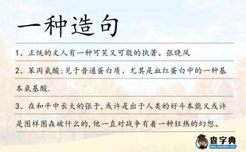 一種造句