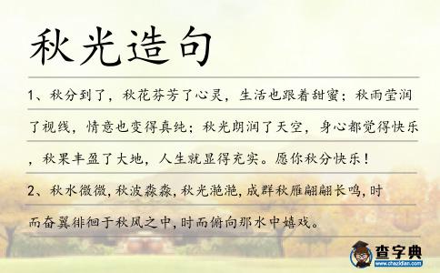 秋光造句