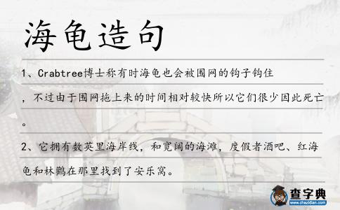 海龜造句