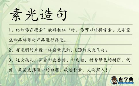素光造句