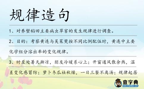 規律造句