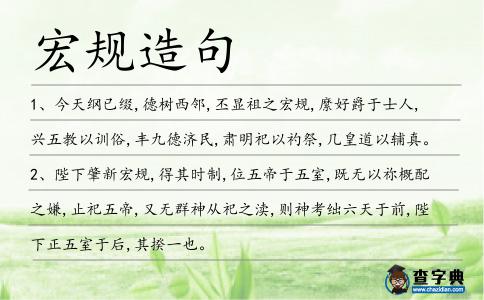 宏規(guī)造句