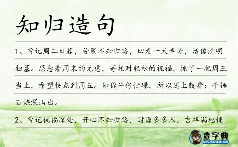知歸造句