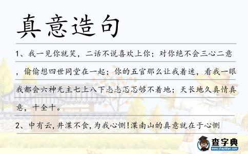 真意造句