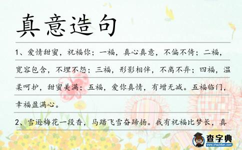 真意造句
