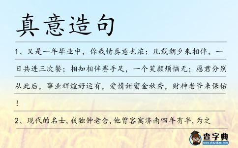 真意造句
