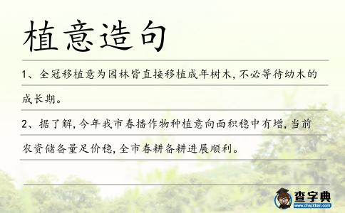 植意造句