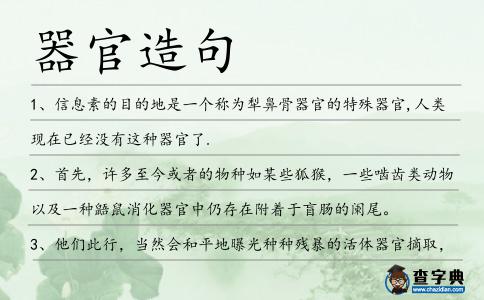 器官造句
