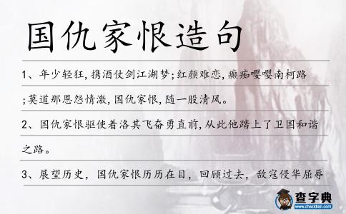 國仇家恨造句