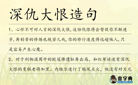 深仇大恨造句