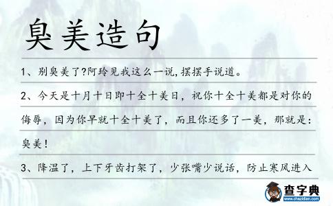 臭美造句