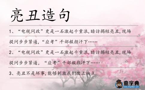 亮丑造句