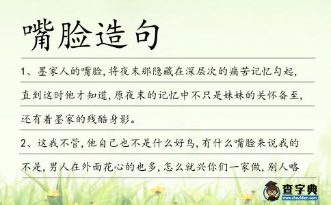 嘴臉造句