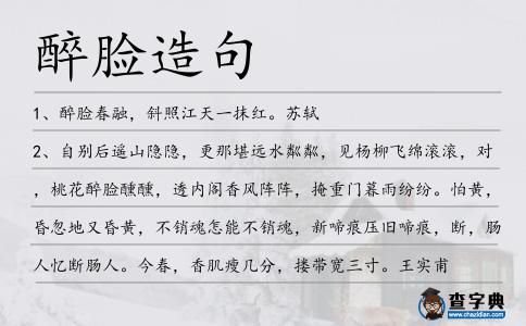 醉臉造句