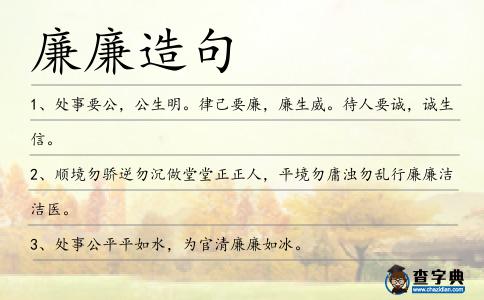 廉廉造句