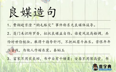 良媒造句