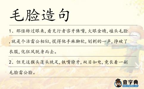毛臉造句