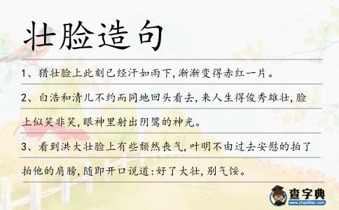壯臉造句