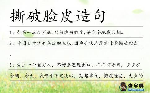 撕破臉皮造句