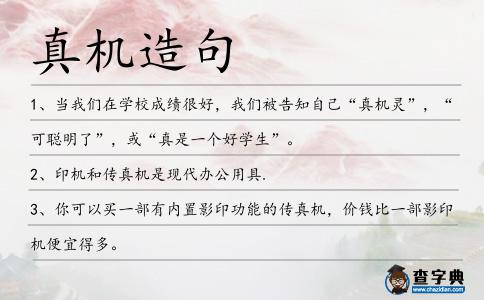 真機造句